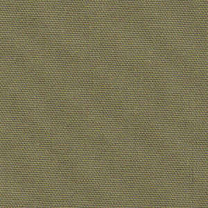 Olive Swatch